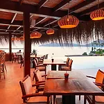 Allium Bodrum & Yalıkavak
