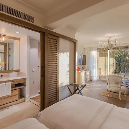 Allium Bodrum &