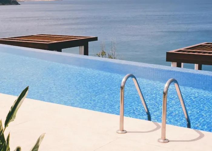 Allium Bodrum &