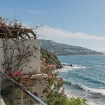 Allium Bodrum &
