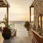 Allium Bodrum &