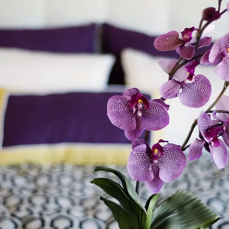 호텔 Allium Bodrum & 5*