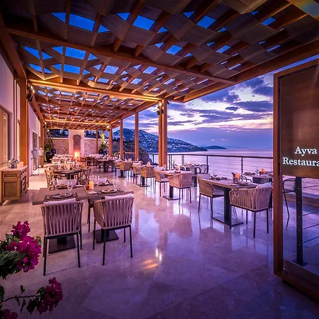 Allium Bodrum & 5* 얄리카베크