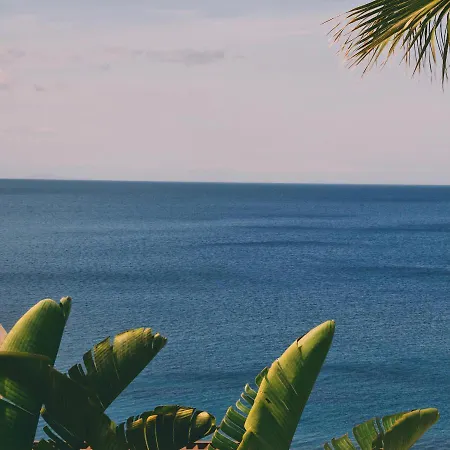 Allium Bodrum & فندق 5*