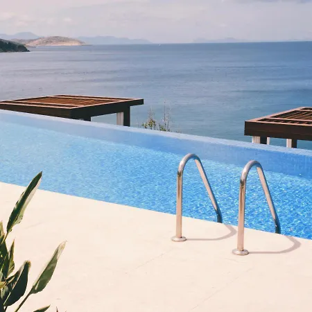 Allium Bodrum &