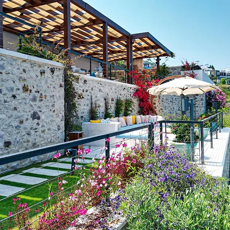 Allium Bodrum & يالِكافاك
