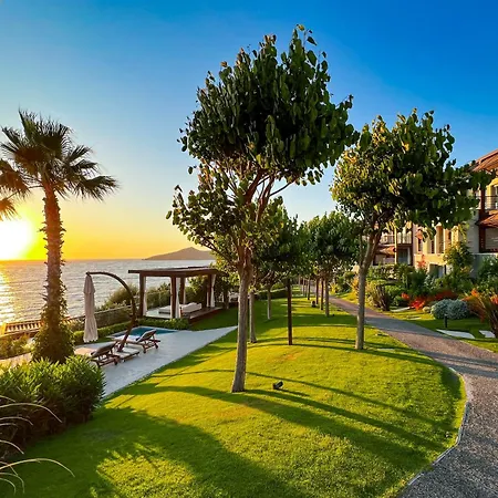 Allium Bodrum & 얄리카베크