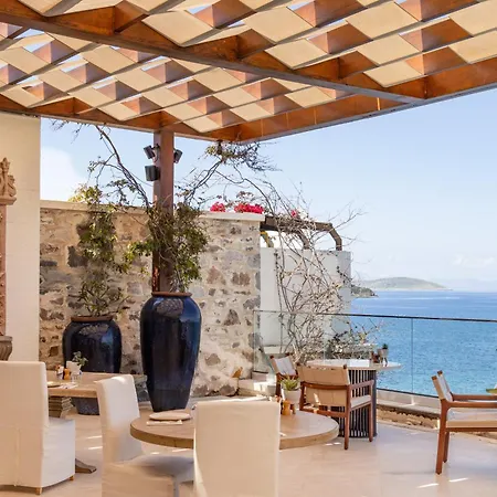 Allium Bodrum & يالِكافاك