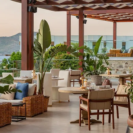 Allium Bodrum & يالِكافاك