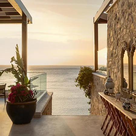 Allium Bodrum &